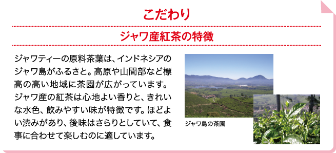 こだわり ジャワティーの原料茶葉は、インドネシアのジャワ島がふるさと。高原や山間部など標高の高い地域に茶園が広がっています。ジャワ産の紅茶は心地よい香りと、きれいな水色、飲みやすい味が特徴です。ほどよい渋みがあり、後味はさらりとしていて、食事に合わせて楽しむのに適しています。 ジャワ島の茶園のイメージ