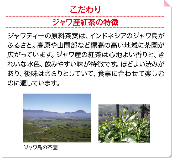 こだわり ジャワティーの原料茶葉は、インドネシアのジャワ島がふるさと。高原や山間部など標高の高い地域に茶園が広がっています。ジャワ産の紅茶は心地よい香りと、きれいな水色、飲みやすい味が特徴です。ほどよい渋みがあり、後味はさらりとしていて、食事に合わせて楽しむのに適しています。 ジャワ島の茶園のイメージ