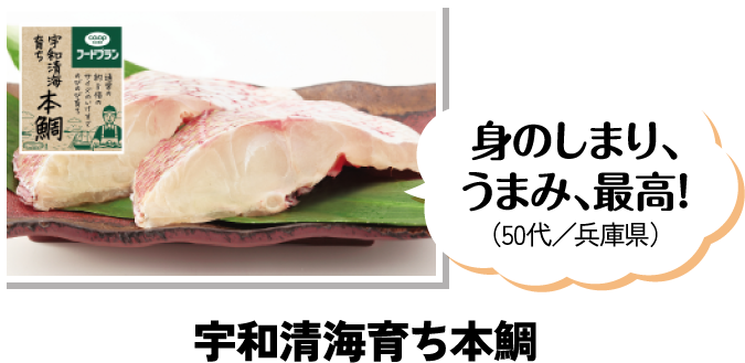 身のしまり、うまみ、最高！（50代／兵庫県） 宇和清海育ち本鯛